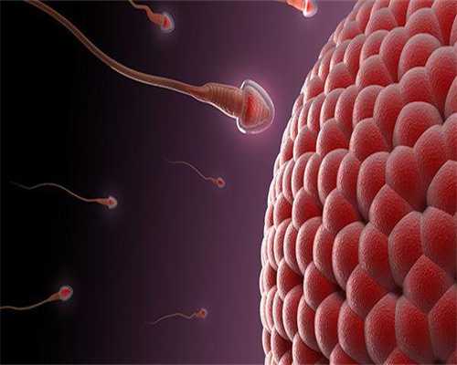 试管婴儿治疗过程中要抽几次血？