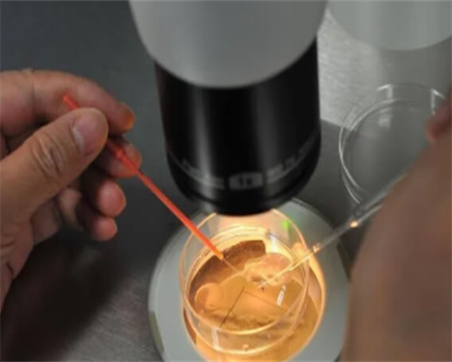 供卵增卵机构：合肥试管婴儿医院排名？在合肥做试管婴儿的成功率高