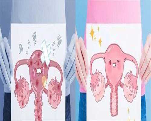 试管降调是什么意思