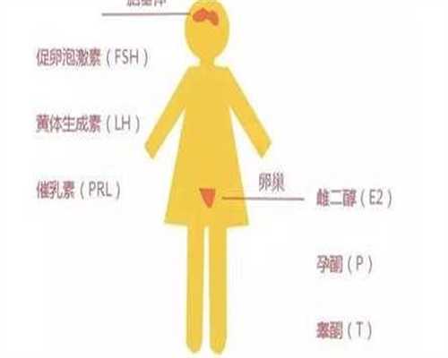 合肥第三代试管婴儿费用大概多少钱？