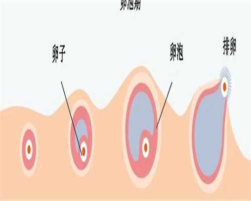 包成功代怀网：什么是经适房是什么意思，经适房是什么意思