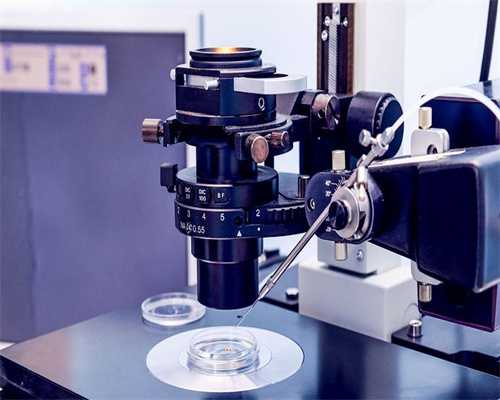 代生男孩中介：试管8c1和5胚胎质量好不好？属于几级胚胎？