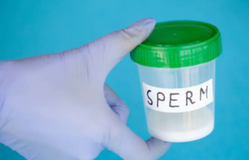 备孕需要补充什么营养备孕需要补充什么营养品