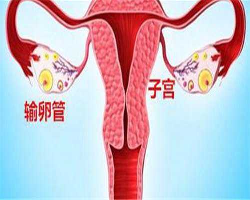 代孕套餐优惠：移植胚胎后可以侧睡吗？试管移植之后能不能侧着睡？