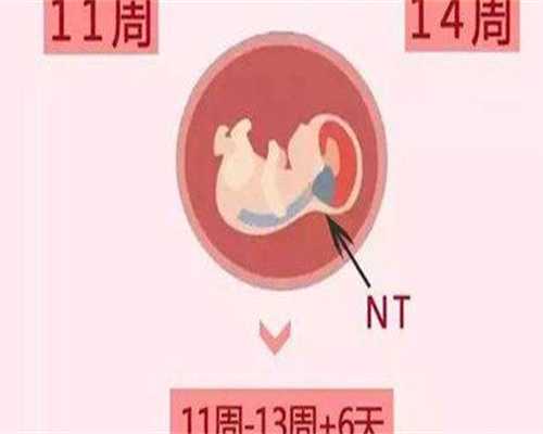 新冠阳性后多久可以备孕