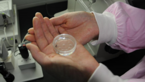 代生男孩中介：滁州助孕试管婴儿自助去怎么样