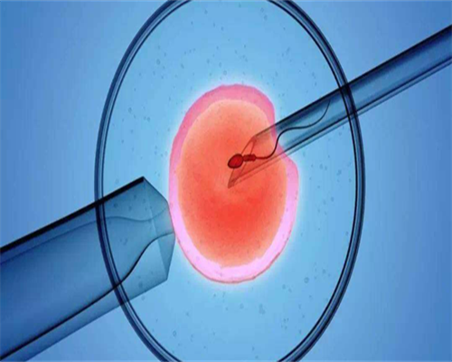 备孕男性该吃叶酸还是补锌（怀孕前的准备）