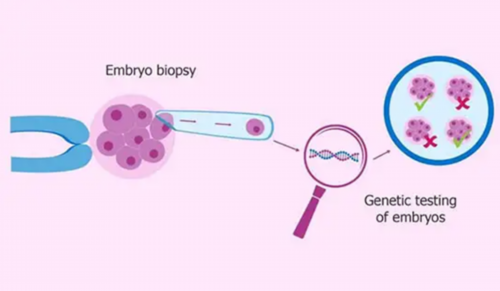 月经不规律影响试管促排卵吗 月经不规律影响做试管吗