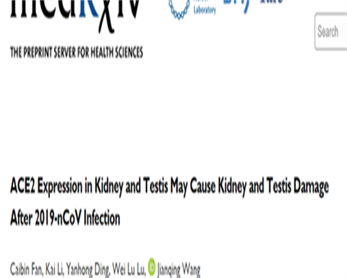 为什么鲜胚移植一周左右容易生化