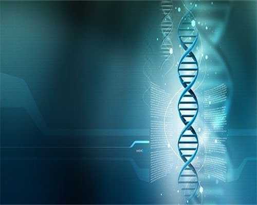 借卵价格：24周四维彩超正常值