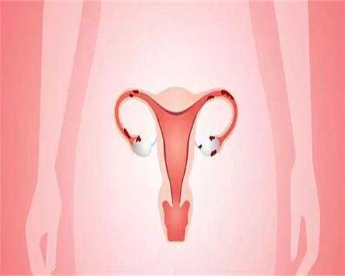 8b试管胚胎成功率多少