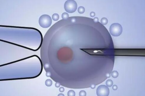 女性子宫内膜该如何保养？