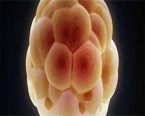 榴莲对女人的功效与作用？吃榴莲对例假有什么好处