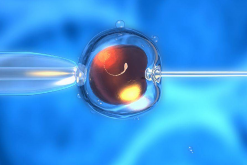 试管移植第五天出血腰疼正常吗？