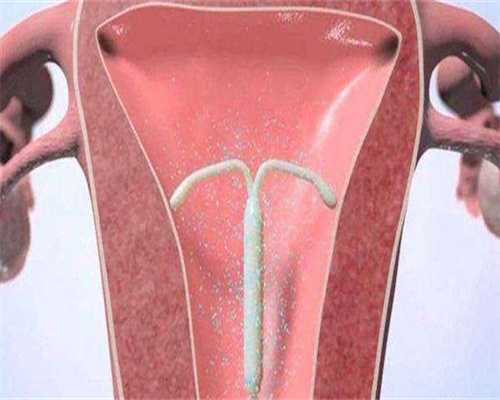 现代男性健康生活指南