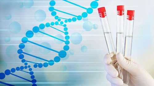 借卵需要流程：备孕期间能艾灸小腹吗