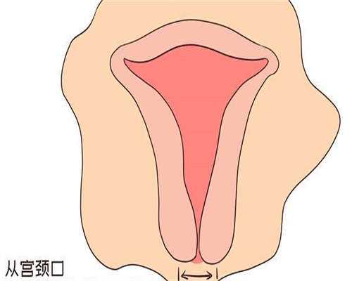 代孕供卵试管：备孕可以吃蛋白粉（备孕叶酸摄入量）